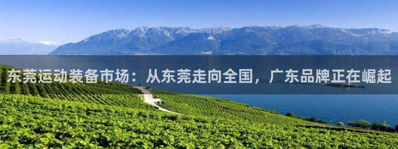 凯捷体育平台注册流程图：东莞运动装备市场：从东莞走向