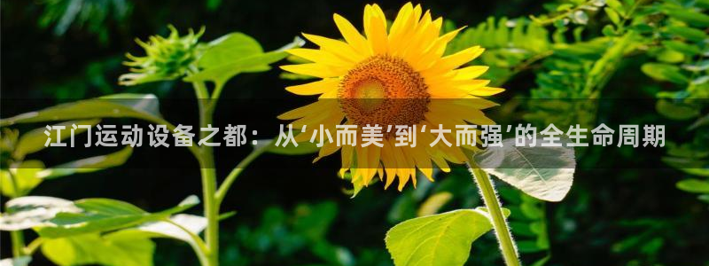 意昂平台体育：江门运动设备之都：从‘小而美’到‘大而