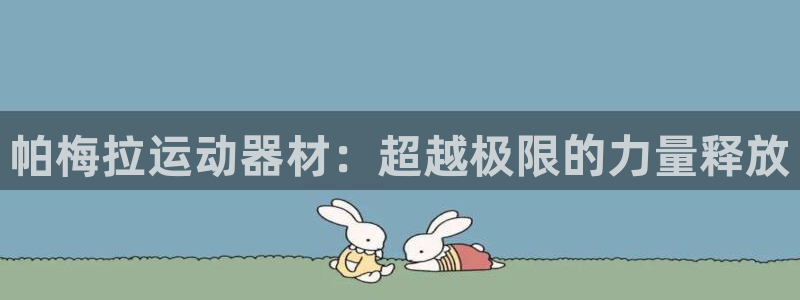 凯捷体育是干嘛的公司：帕梅拉运动器材：超越极限的力量