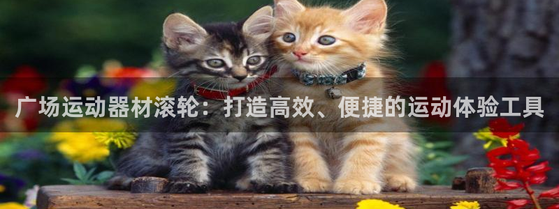 凯捷体育娱乐首页网站大全：广场运动器材滚轮：打造高效、便捷的