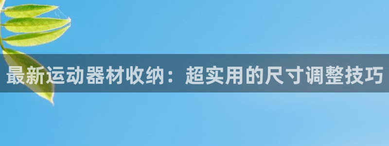 凯捷体育注册：最新运动器材收纳：超实用的尺寸调整技巧