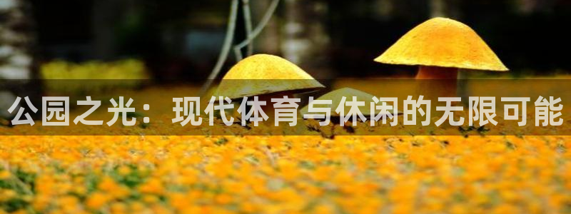 凯捷体育招商电话号码查询