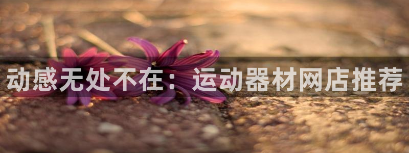 凯捷体育招商电话是多少号码：动感无处不在：运动器材网