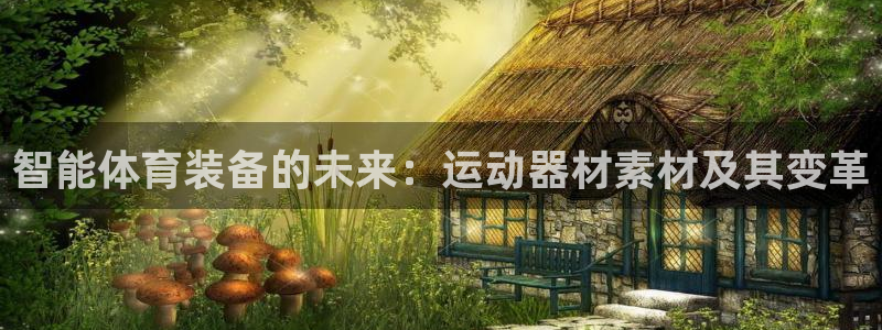 意昂平台体育：智能体育装备的未来：运动器材素材及其变