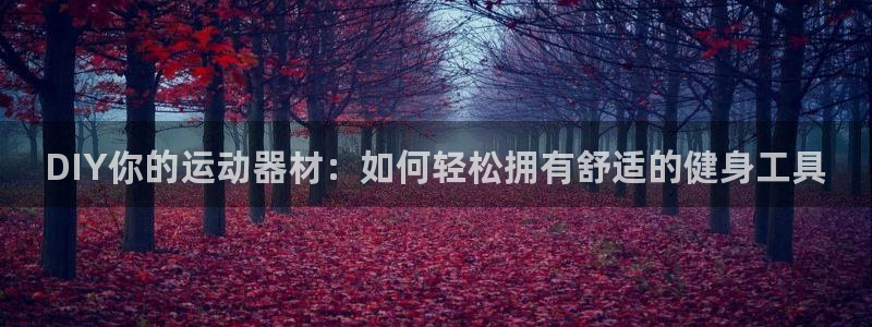 凯捷体育是干嘛的公司：DIY你的运动器材：如何轻松拥有舒适的