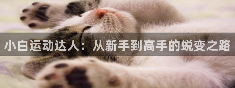 凯捷体育招商电话号码：小白运动达人：从新手到高手的蜕