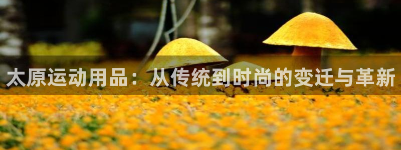 凯捷体育平台注册要钱吗是真的吗：太原运动用品：从传统