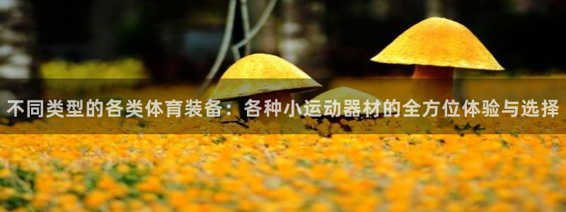 凯捷体育平台是正规平台吗安全吗：不同类型的各类体育装