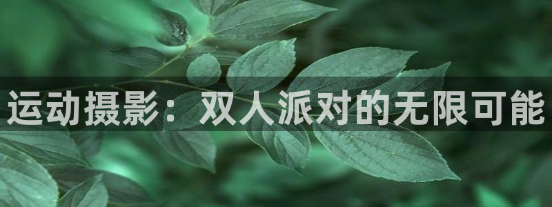 凯捷体育平台注册要钱吗：运动摄影：双人派对的无限可能