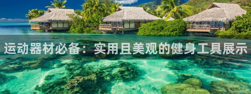 凯捷体育集团logo：运动器材必备：实用且美观的健身