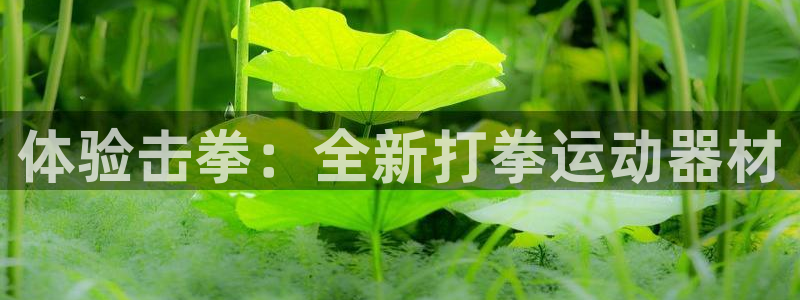 凯捷体育集团简介：体验击拳：全新打拳运动器材