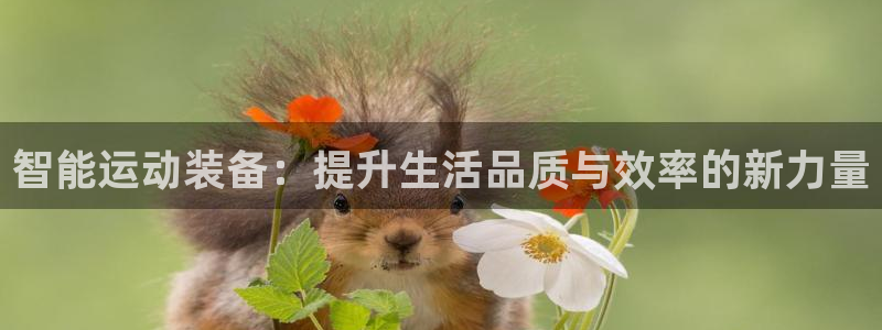 凯捷体育五金厂