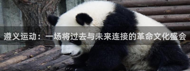意昂集团官网：遵义运动：一场将过去与未来连接的革命文
