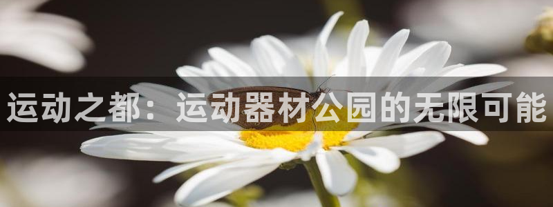 凯捷体育平台注册要钱吗：运动之都：运动器材公园的无限可能