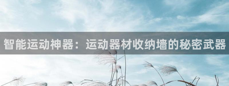 凯捷体育集团官网首页：智能运动神器：运动器材收纳墙的秘密武器