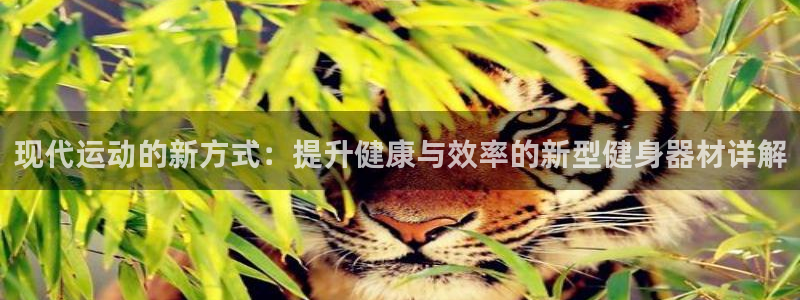 德国凯捷体育集团：现代运动的新方式：提升健康与效率的