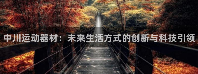 凯捷体育娱乐平台：中川运动器材：未来生活方式的创新与