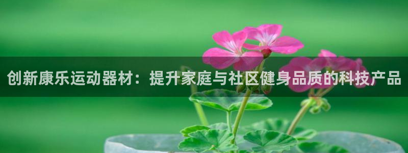凯捷体育集团官网网址