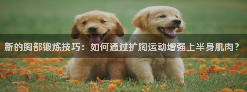 凯捷体育集团官网首页