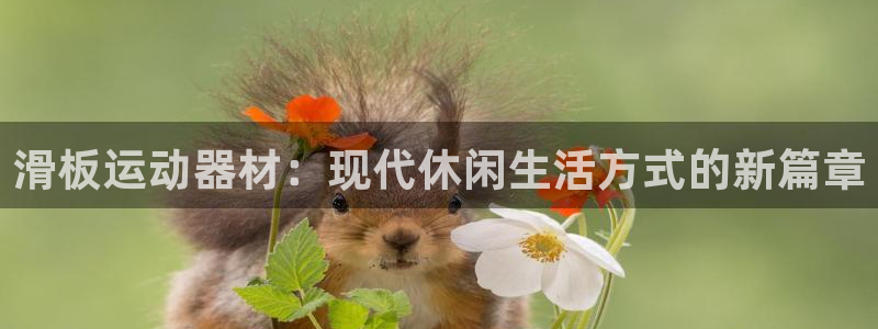 凯捷体育平台注册流程图：滑板运动器材：现代休闲生活方