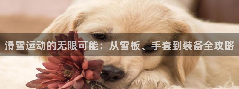 凯捷体育平台注册要钱吗：滑雪运动的无限可能：从雪板、手套到装