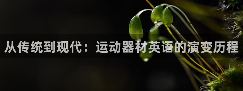 凯捷体育娱乐：从传统到现代：运动器材英语的演变历程