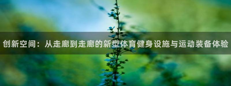 凯捷体育招商电话是多少：创新空间：从走廊到走廊的新型体育健身